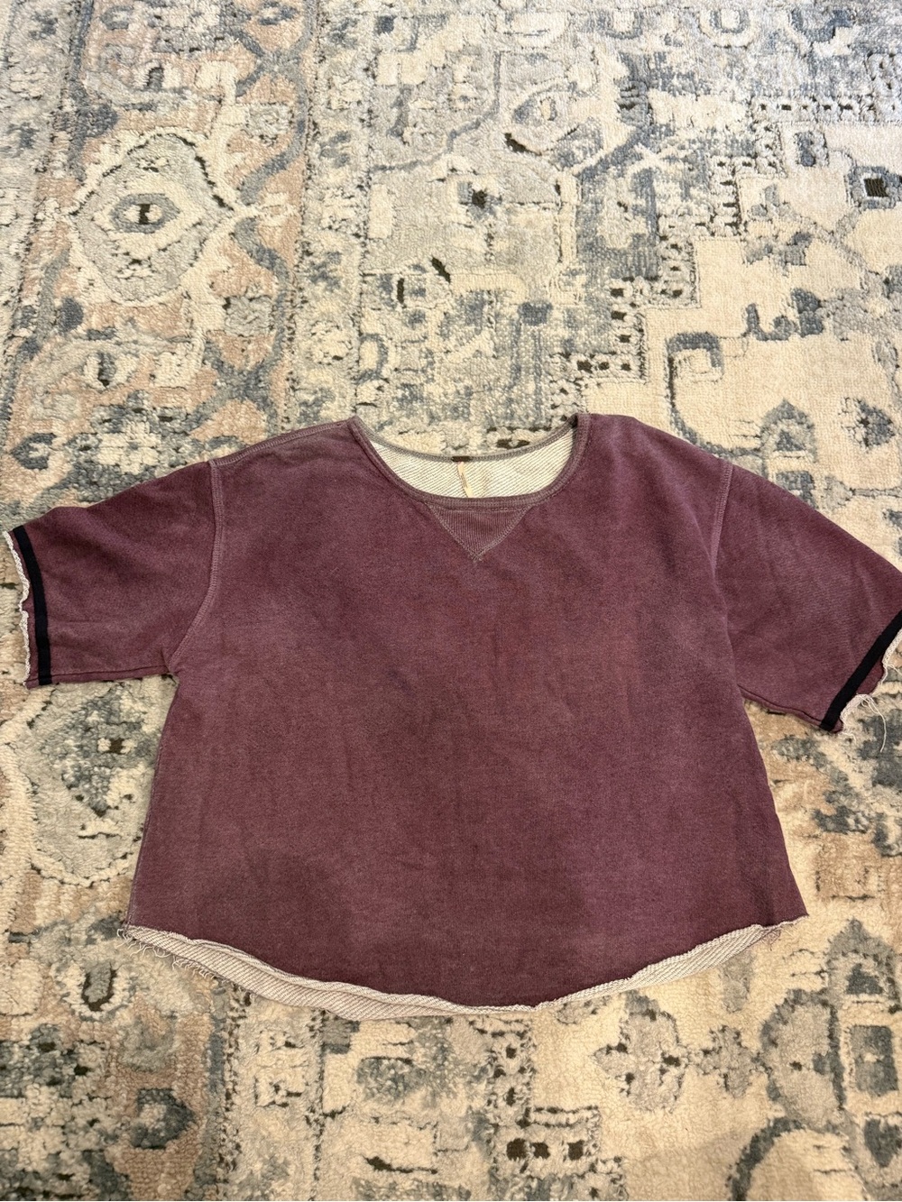 Free People Short Sleeve Top in Dusty Mauve